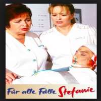 Devid StriesowFur alle Falle Stefanie (TV Series 1999)