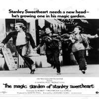 Don JohnsonThe Magic Garden of Stanley Sweetheart (Film 1970)