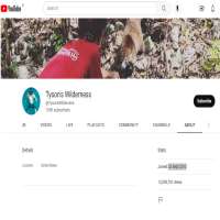 Tyson MillsYouTube 