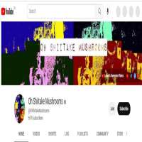 Leland PowellYouTube (Channel: Oh Shiitake Mushrooms)