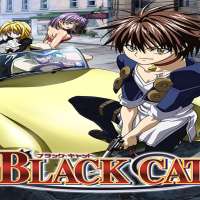 Todd HaberkornBlack Cat (TV Series 2006)