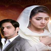 Anam GoherTV Series 