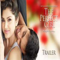 Vikram Singh ChauhanThe Perfect Girl (2015)