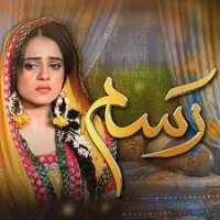Faria SheikhSeries 