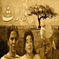 Samina AhmadTV Series 