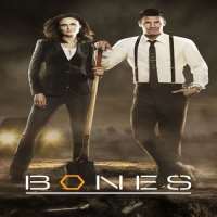 Emily DeschanelBones as Temperance Brennan (TV Series 2005-2017)