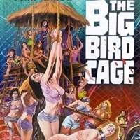 Pam GrierThe Big Bird Cage as Blossom (Film 1972), Coffy as Coffy (Film 1973), Foxy Brown as Foxy Brown (Film 1974),Sheba, Baby as Sheba Shayne (Film 1975)