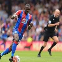 Yannick BolasieFrench Professional Football Player