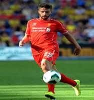 Fabio BoriniItalian Professional Football Player