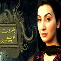 Ayesha KhanGul (Haroon tou piya teri)