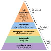 Abraham Maslow Birthday, Real Name, Family, Age, Death Cause, Weight ...