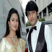 Divyanka TripathiVidya (Banoo Main Teri Dulhann)