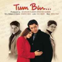 Priyanshu ChatterjeeTum Bin as Shekhar Malhotra (2001 Movie)