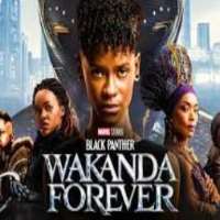 Lovell GatesBlack Panther: Wakanda Forever as House Party Guest (Movie 2022)