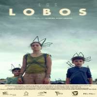 Cici LauLos lobos as Mrs. Chan (2019 TV Series)