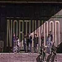 Darrell DennisNorthwood as Brian Potter (TV series 1991)