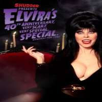 Ira HeidenElvira: Mistress of the Dark as Bo (Movie 1988)