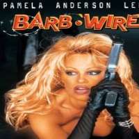 Amir AboulelaBarb Wire as Patron  (Movie 1996)