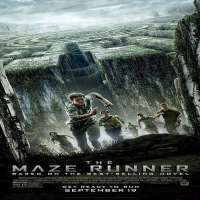 Joe AdlerThe Maze Runner as Zart (2014)
