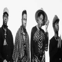 Q-TipA Tribe Called Quest (Hip Hop Group), The Renaissance (Album 2008)