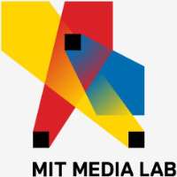 Joi ItoDirector of MIT Media Lab (2011)
