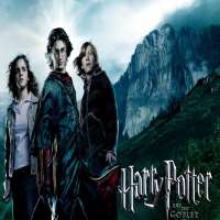 Clemence PoesyHarry Potter Film Series as Fleur Delacour (2005, 2010, 2011)