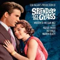 Pat HingleSplendor in the Grass as Ace Stamper (Film 1961), Norma Rae as Vernon (Film 1979)