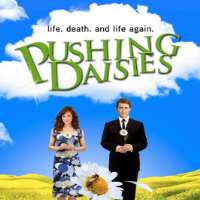 Anna FrielBrookside as Beth Jordache (Soap Opera 1993-1995), Pushing Daisies as Charlotte Chuck Charles (TV Series 2007-2009)