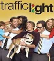 Nelson FranklinTraffic Light as Adam (TV Series 2011), The Millers  as Adam (TV Series 2013-2015)