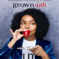 Emily ArlookGrown-ish  as Nomi Segal (TV Series 2018-2019)