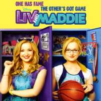 Jimmy BellingerLiv and Maddie as Artie Smalls (TV Series 2013-2017), Shameless as Max (TV Series 2013)