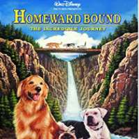Robert HaysAirplane! as Ted Striker (Film 1980), Homeward Bound: The Incredible Journey as Bob Seaver (Film 1993)