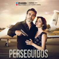 Valentina AcostaA Mano Limpia as Silvia Pizarro (TV Series 2010-2012), Perseguidos as Connie (TV Series 2016-2017)