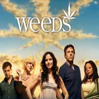 Cody KlopMad TV (TV Series 2003-2006), Weeds (TV Series 2006)