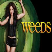 Haley HudsonWeeds as Quinn Hodes (TV Series 2005-2009)