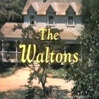 Richard ThomasThe Waltons as John-Boy Walton (TV Series 1972-1977)