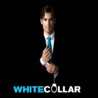 Tim DeKayWhite Collar as FBI Agent Peter Burke (TV Series 2009-2014)