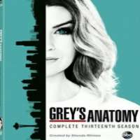 Marika DominczykGrey's Anatomy as Dr. Eliza Minnick (TV Series 2016-2017)