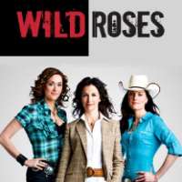 Sarah PowerWild Roses as Lucy Henry (TV Series 2009)