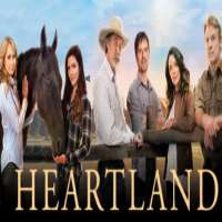 Amber MarshallHeartland as Amy Fleming (TV Series 2007-Present)