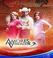 Eleazar GomezAmores Verdaderos as Roy Pavia (TV Series 2012-2013)