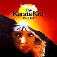 Randee HellerThe Karate Kid Film Seriesas Lucille LaRusso(1984, 1989), Cobra Kai as Lucille LaRusso	(TV Series 2018-2019)