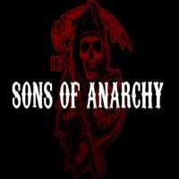 Ally WalkerSons of Anarchy as Agent June Stahl (TV Series 2008-2010)