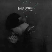 David DallasSomething Awesome (Album 2009), Falling Into Place (Album 2013)