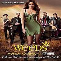 Stephanie Lyn BeardWeeds as Fiona (TV Series 2010), Mike and Dave Need Wedding Dates as Jeanie (Film 2016)