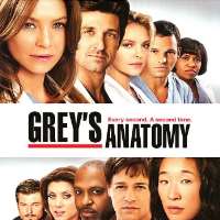 Chandra WilsonGrey's Anatomy as Dr. Miranda Bailey (TV Series 2005-Present)