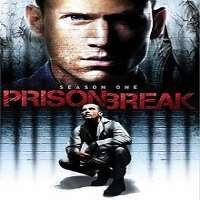 Heather McCombPrison Break as Rita Morgan (TV Series 2002), Without A Trace as Megan Sullivan (TV Series 2006)