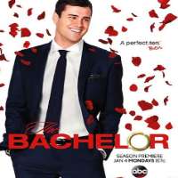 Lauren BushnellThe Bachelor Season 20 (TV Show 2016)