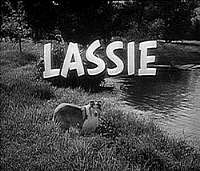 Jon ProvostLassie as Timmy Martin / Timmy Claussen (TV Series 1957-1964)