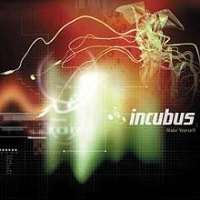 Brandon BoydIncubus (Band), Make Yourself (Album 1999), Morning View (Album 2001)